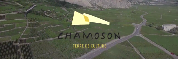 Vinissima : les caves ouvertes des vins de Chamoson !